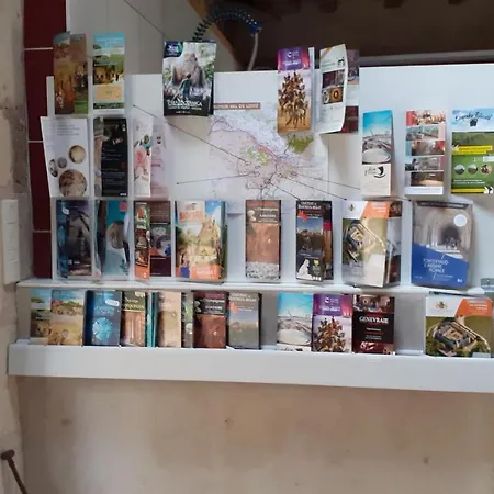 Oda ve Kahvaltı Le Clos De La Pinsonniere Vaudelnay